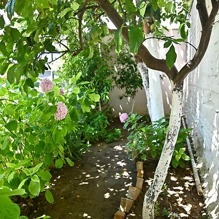 Vakantiehuis Sen Garden *