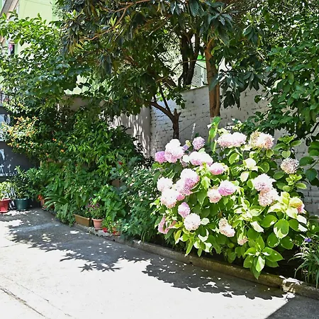 Vakantiehuis Sen Garden
