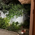 Sen Garden * Tirana