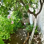 Holiday home Sen Garden *