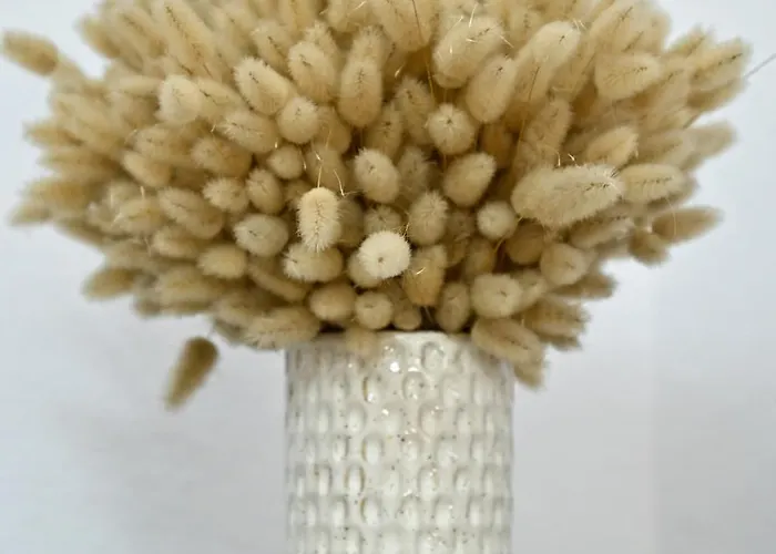 Holiday home Sen Garden *