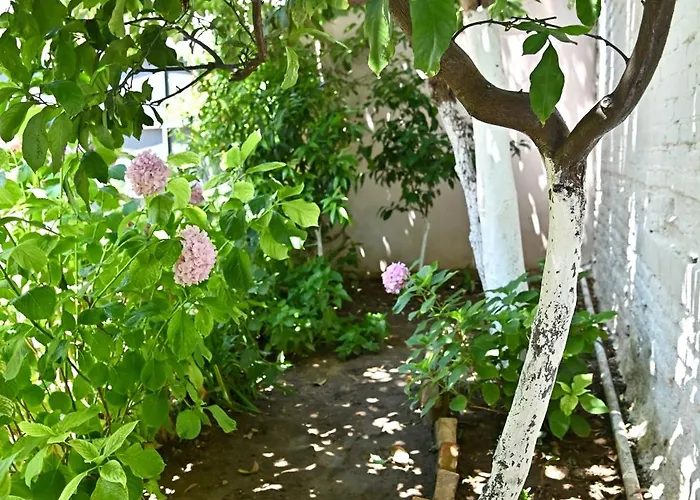 Holiday home Sen Garden *